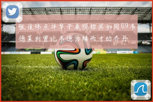 张佳玮点评华子表现称其如同09韦德莱利曾比韦德为矮两寸的乔丹