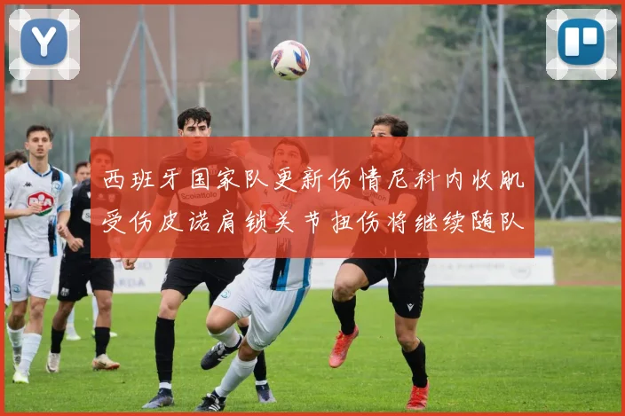 西班牙国家队更新伤情尼科内收肌受伤皮诺肩锁关节扭伤将继续随队训练