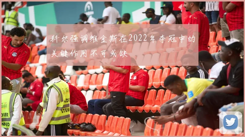 科尔强调维金斯在2022年夺冠中的关键作用不可或缺